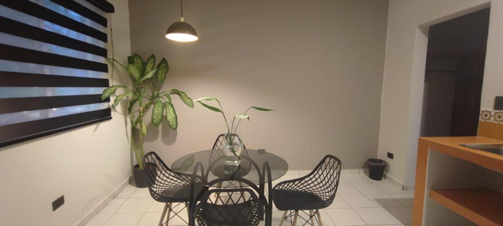 Hotel Ha Garden Gallery - 5Th Avenue Playa del Carmen Exterior foto